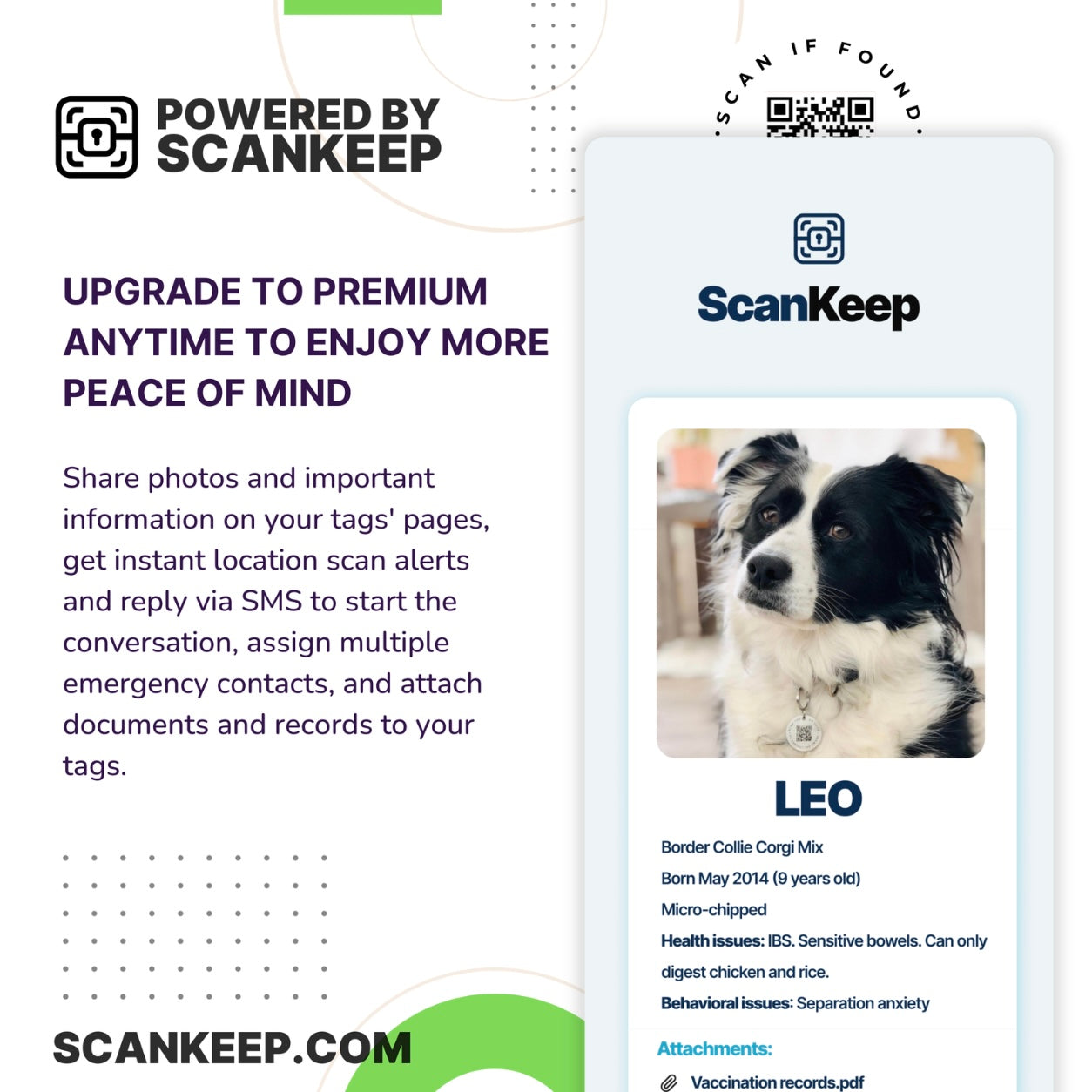 Glow in Dark Red Back Spider Collar Candy™️