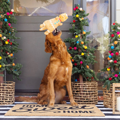 Fringe Cookie-saurus