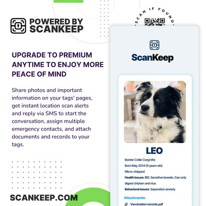 Glow in Dark Red Back Spider Collar Candy™️