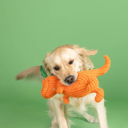 Fringe CARROT BOUT YOU PLUSH DOG TOY