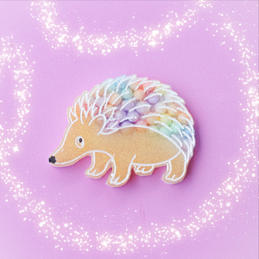 Large Echidna Pet Tag