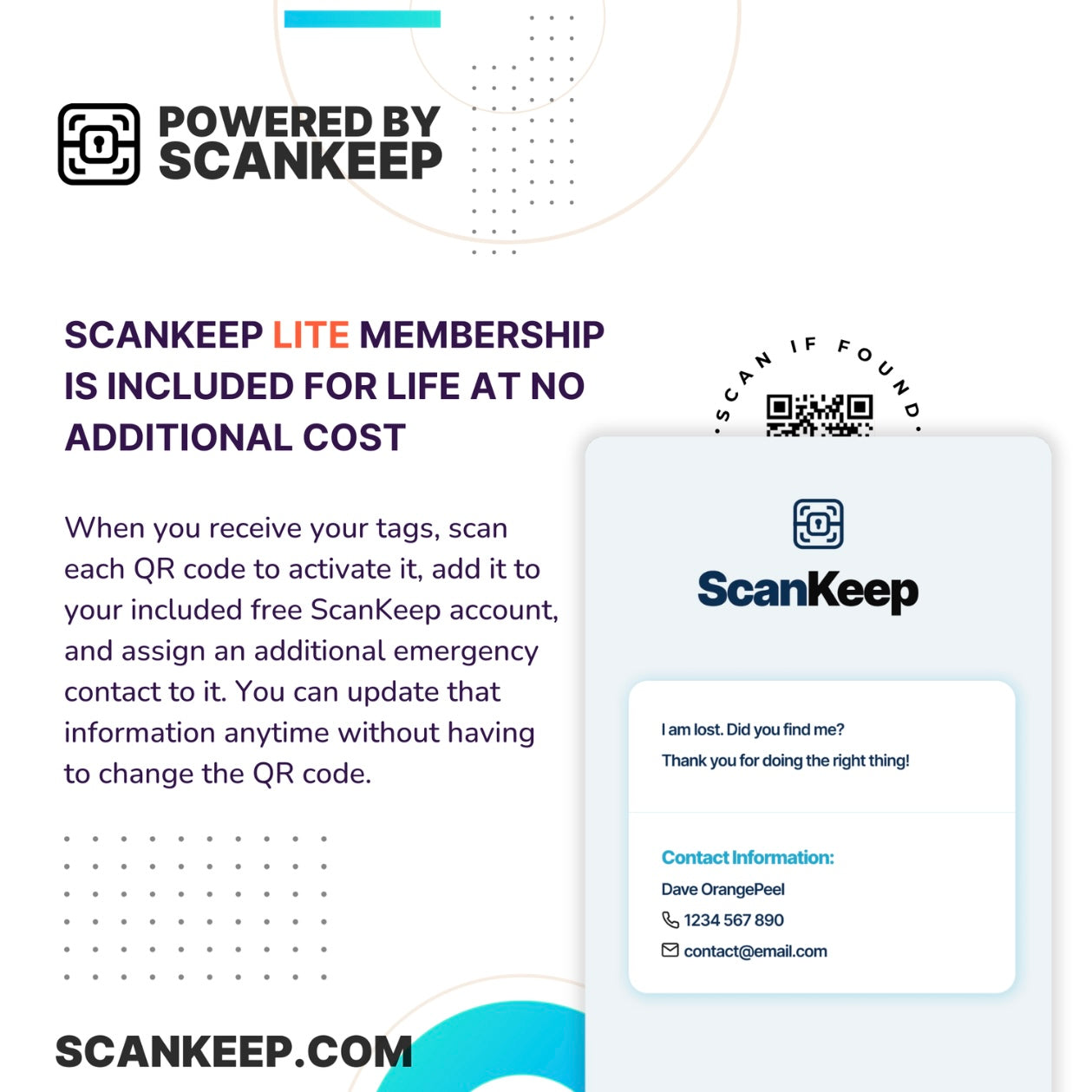 Glow in Dark Red Back Spider Collar Candy™️