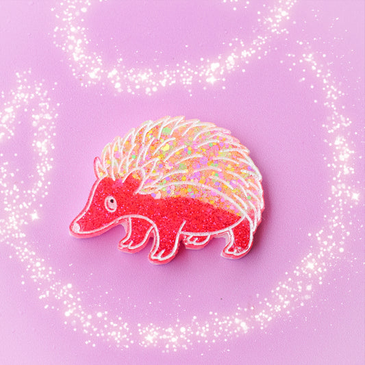 Large Echidna Pet Tag
