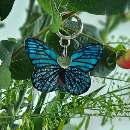 Butterfly Collar Candy®️
