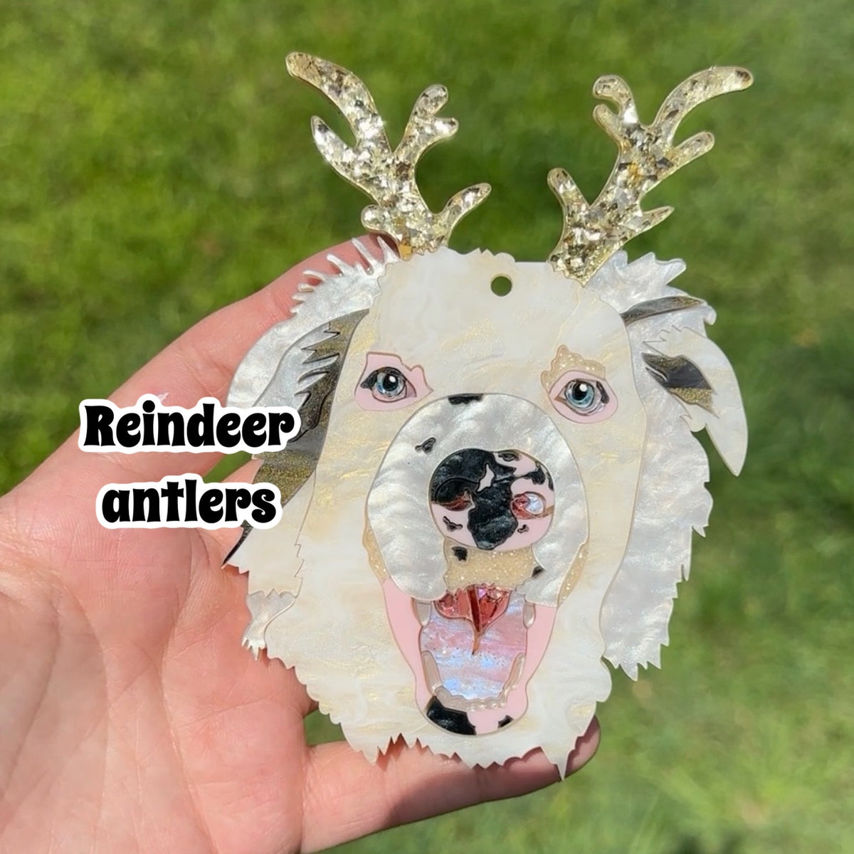 Pet Portrait Tree Decoration