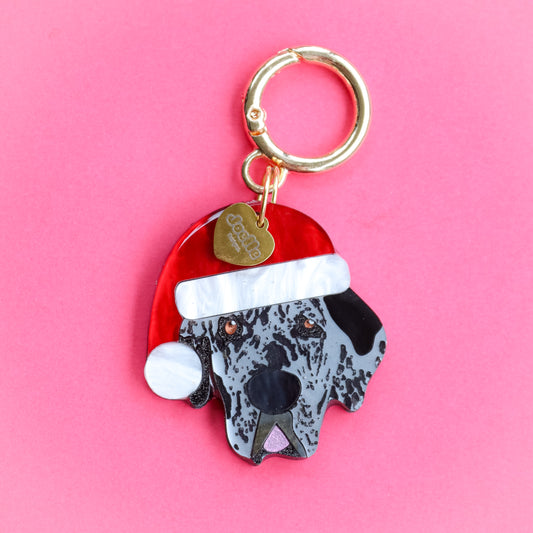 Pet Portrait Christmas Pet ID Tag (or keyring)