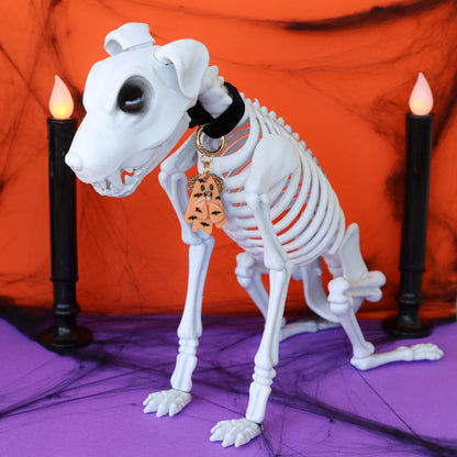 Bat Outfit Dog Ghostie Collar Candy®️