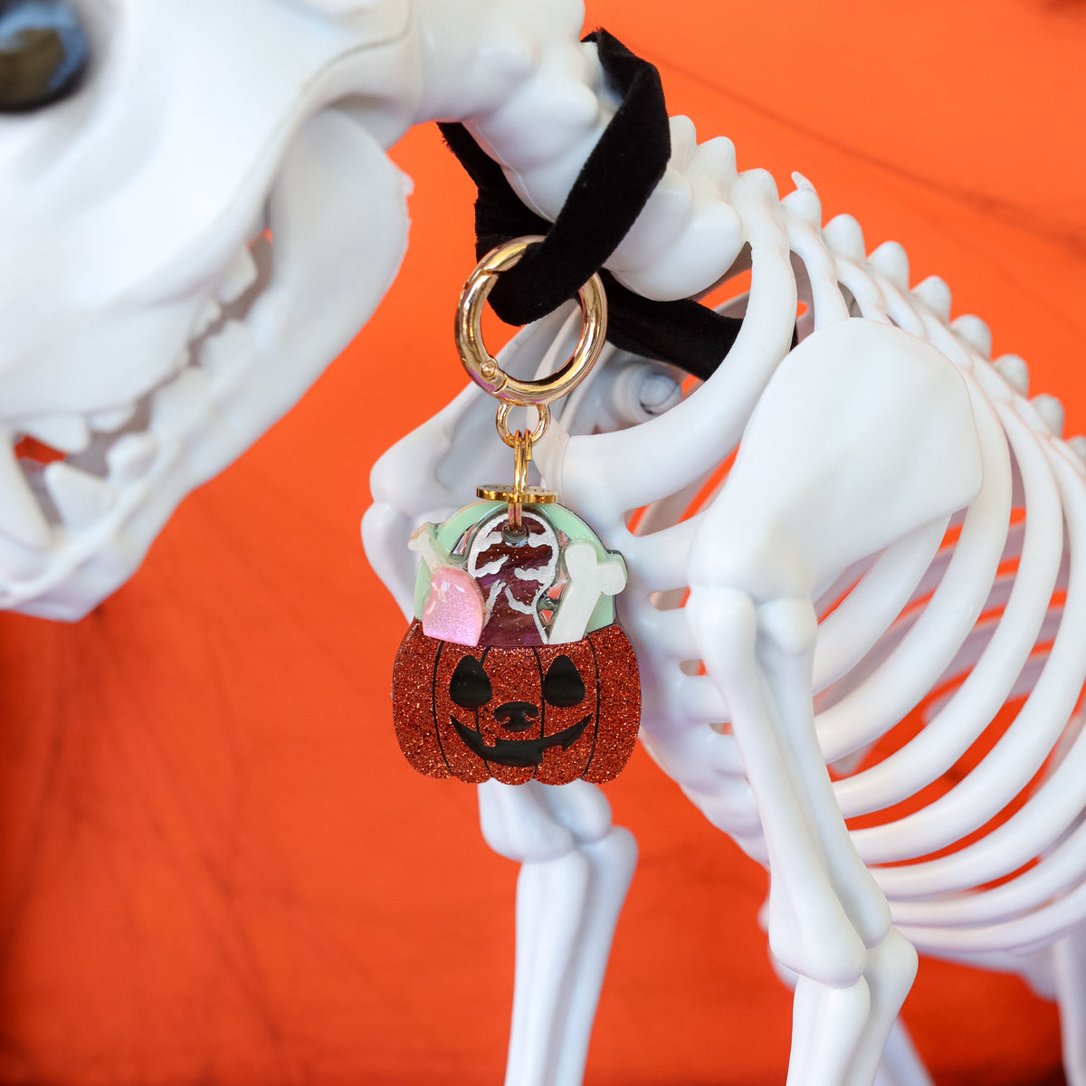Jack O' Dog Treats Collar Candy®️