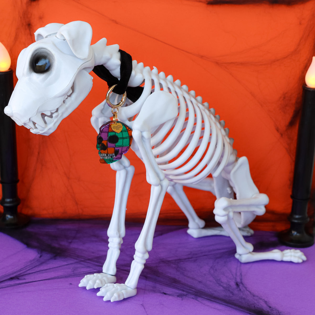 Disco Skull Collar Candy®️