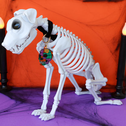 Disco Skull Collar Candy®️