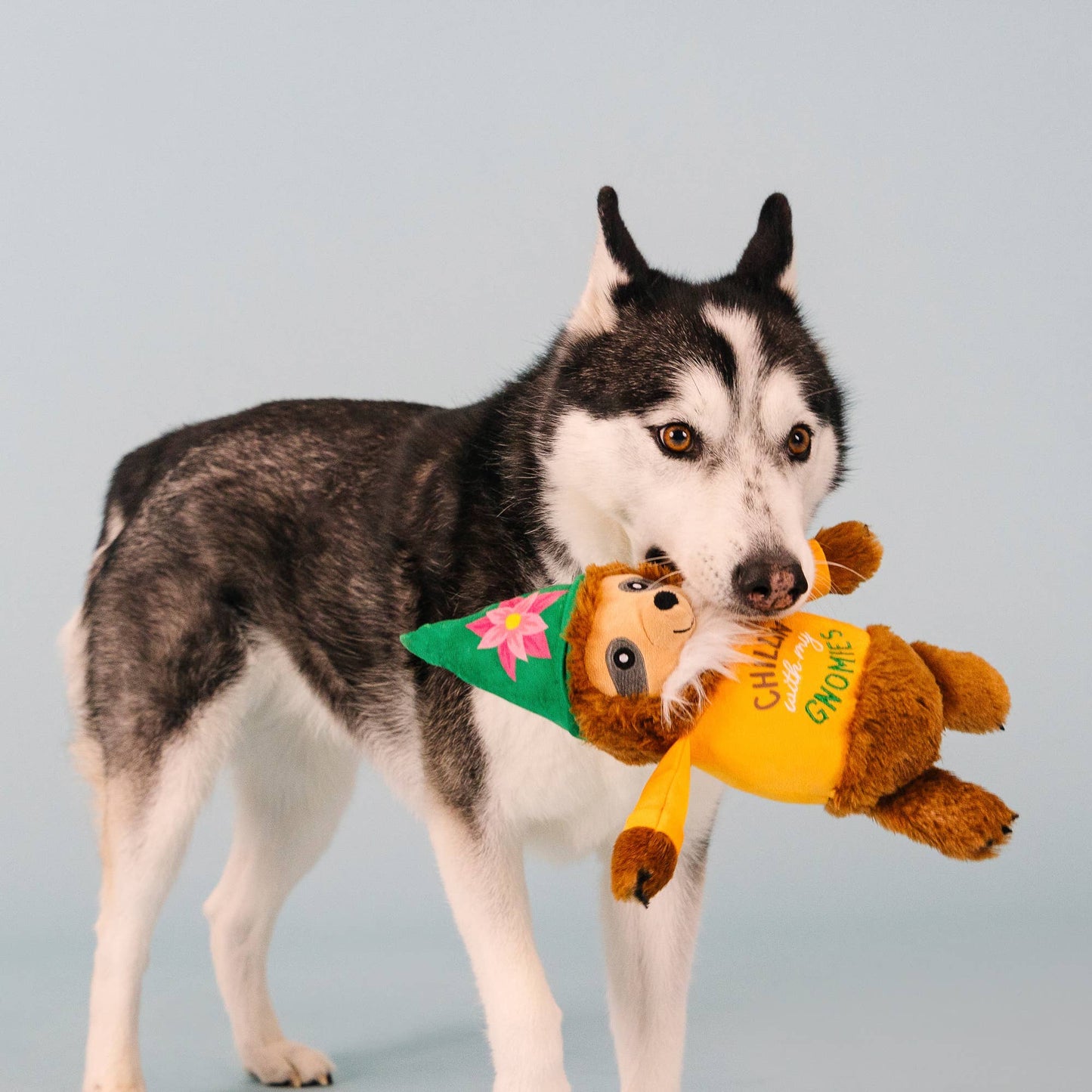 Fringe CHILLIN' WITH MY GNOMIES