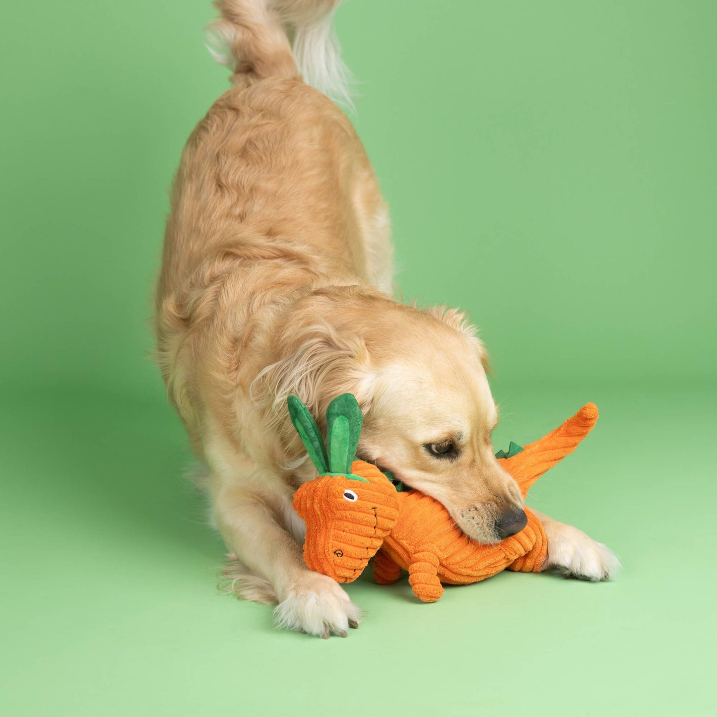 Fringe CARROT BOUT YOU PLUSH DOG TOY