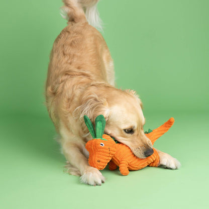 Fringe CARROT BOUT YOU PLUSH DOG TOY