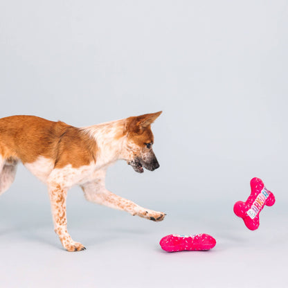 Fringe IT'S MY BARKDAY